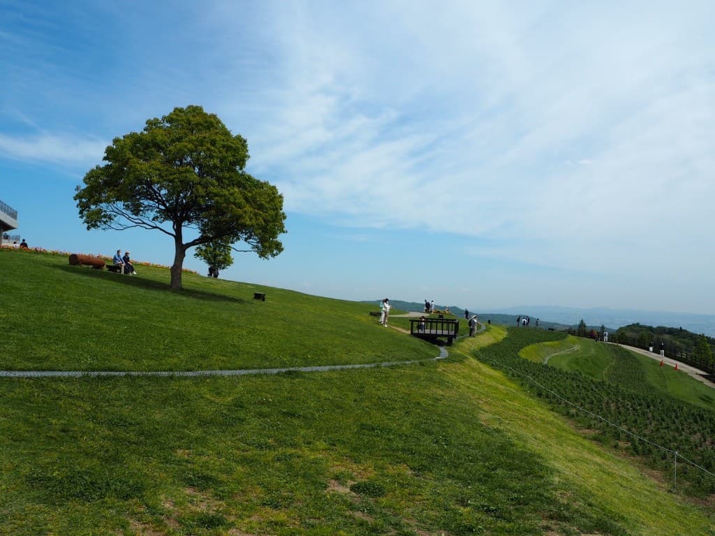Parque en una colina de Japón con un gran árbol y cielo azul